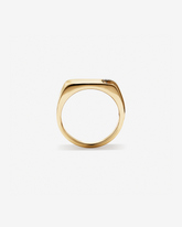 Anel masculino ouro 18k com diamantes naturais 0,12 ct - vista lateral